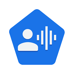 google Voice Access
